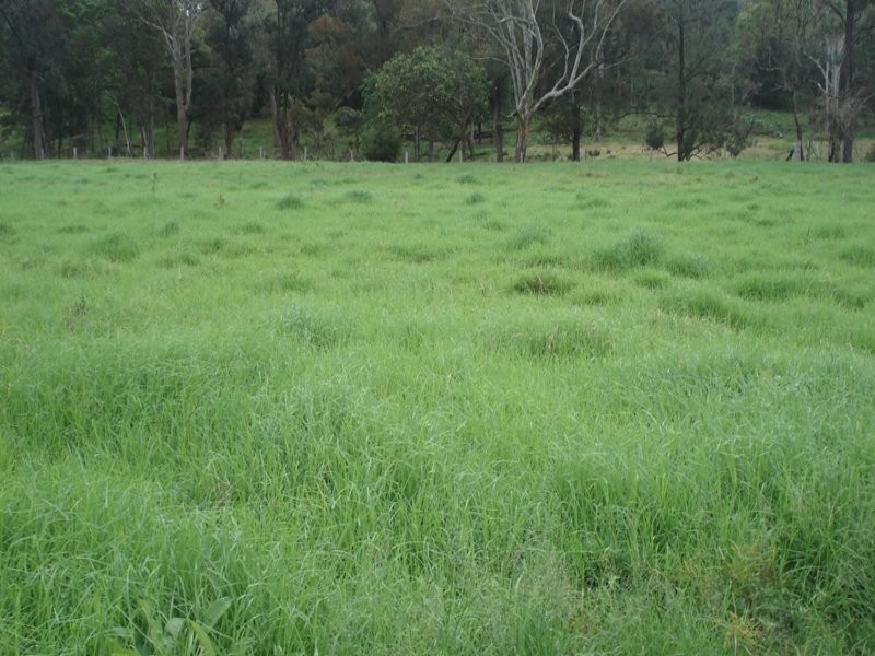 410 Pigman Road, Kyogle NSW 2474