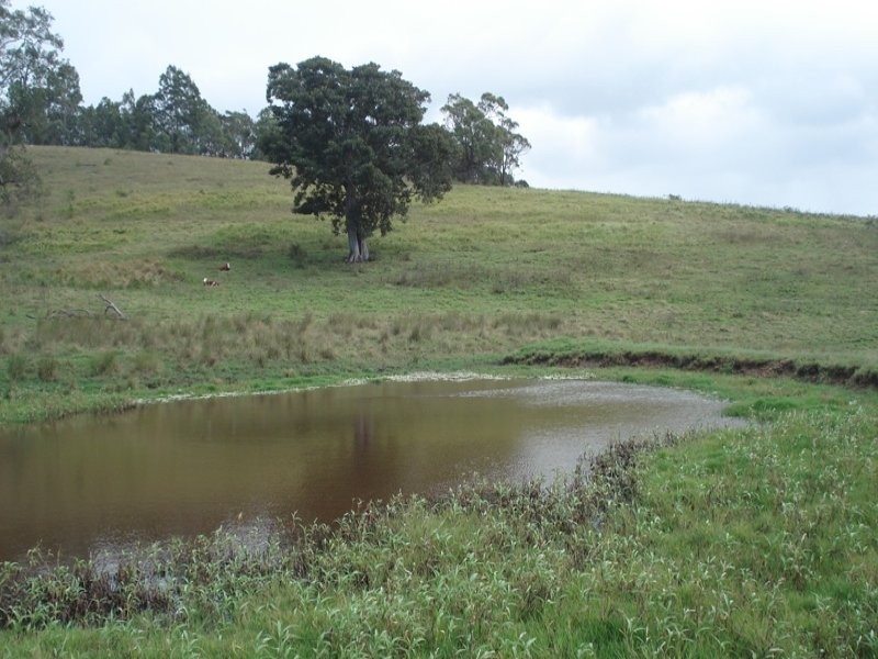 410 Pigman Road, Kyogle NSW 2474