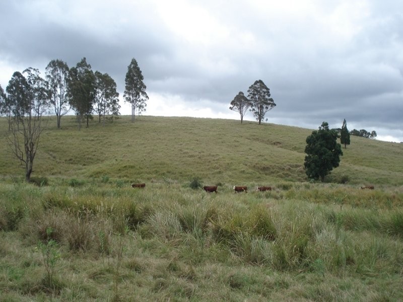 410 Pigman Road, Kyogle NSW 2474