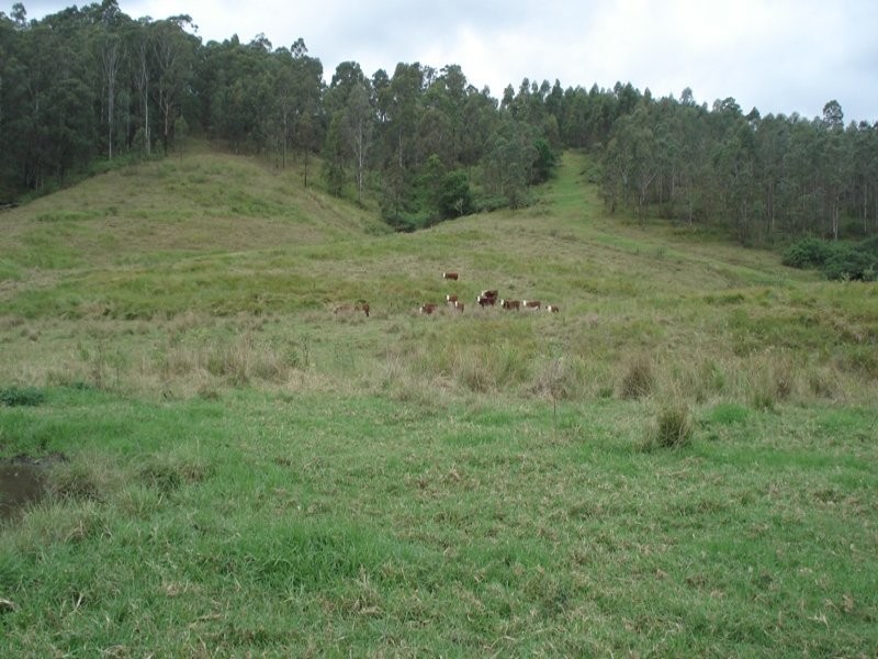 410 Pigman Road, Kyogle NSW 2474