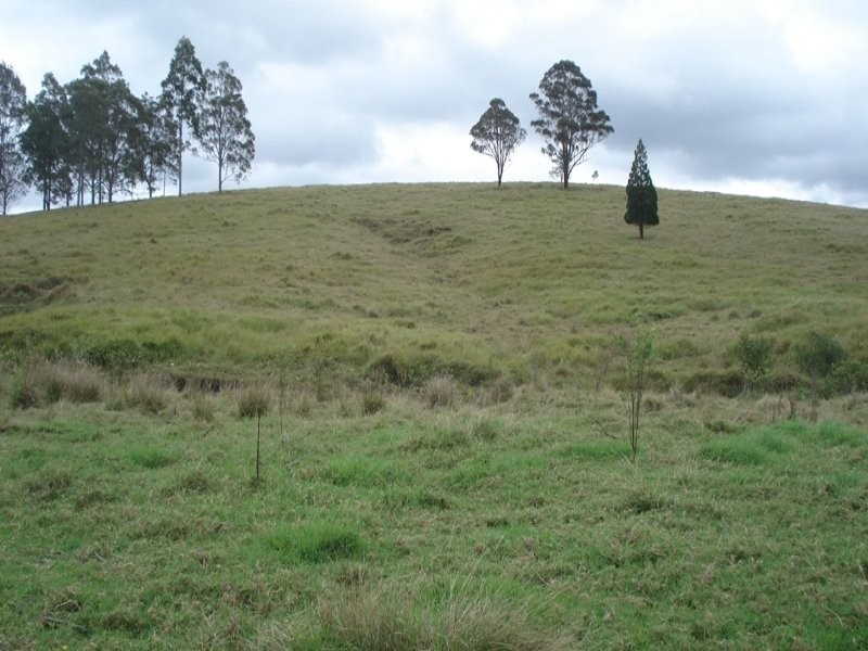 410 Pigman Road, Kyogle NSW 2474