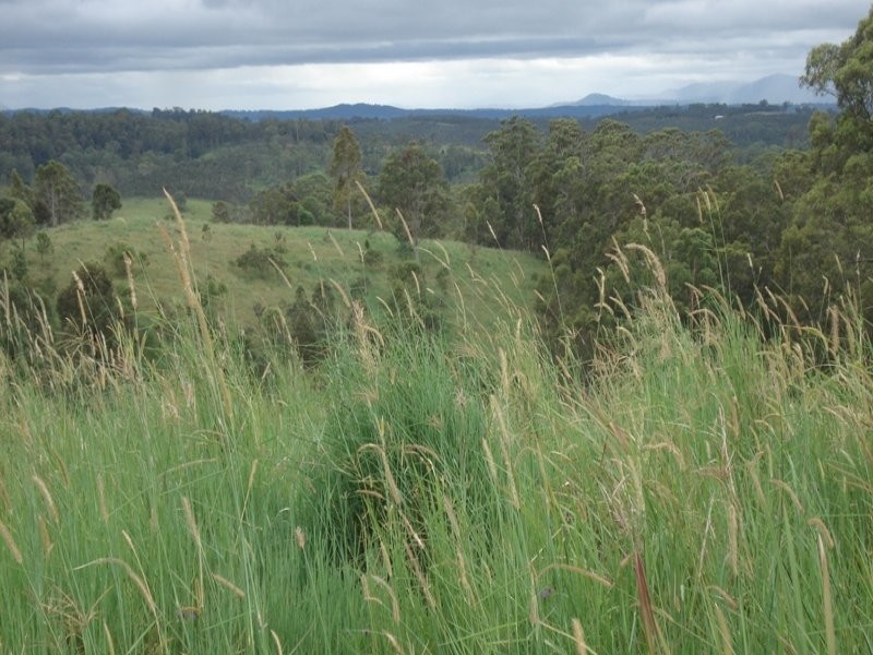 410 Pigman Road, Kyogle NSW 2474