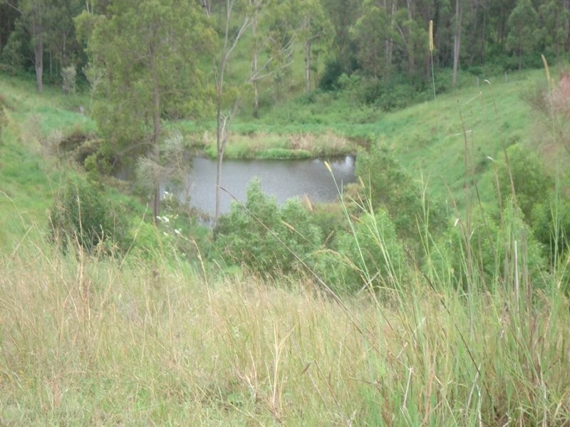 410 Pigman Road, Kyogle NSW 2474