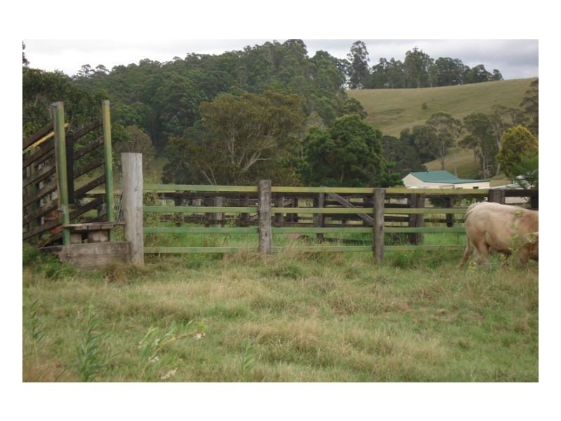 410 Pigman Road, Kyogle NSW 2474