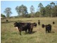 Dyraaba, Casino NSW 2470
