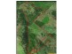 Dyraaba, Casino NSW 2470