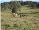 Dyraaba, Casino NSW 2470