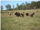 Dyraaba, Casino NSW 2470