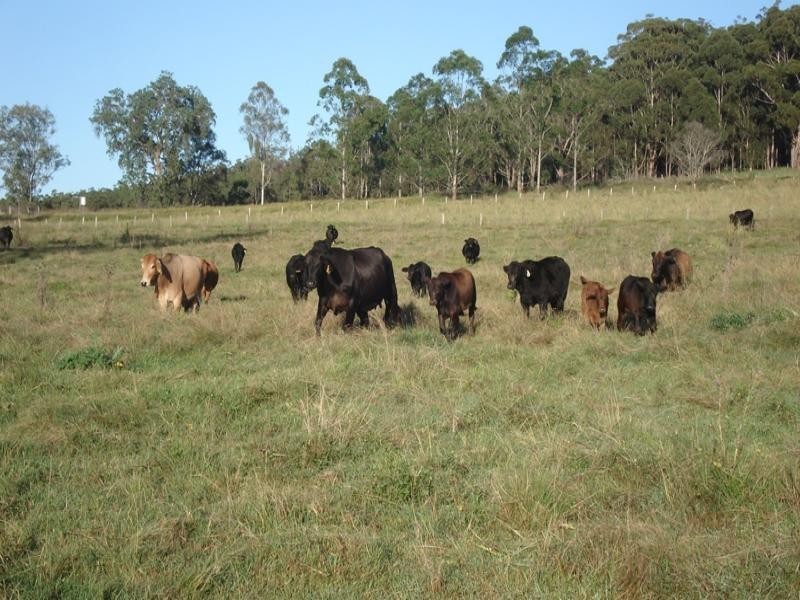 Dyraaba, Casino NSW 2470
