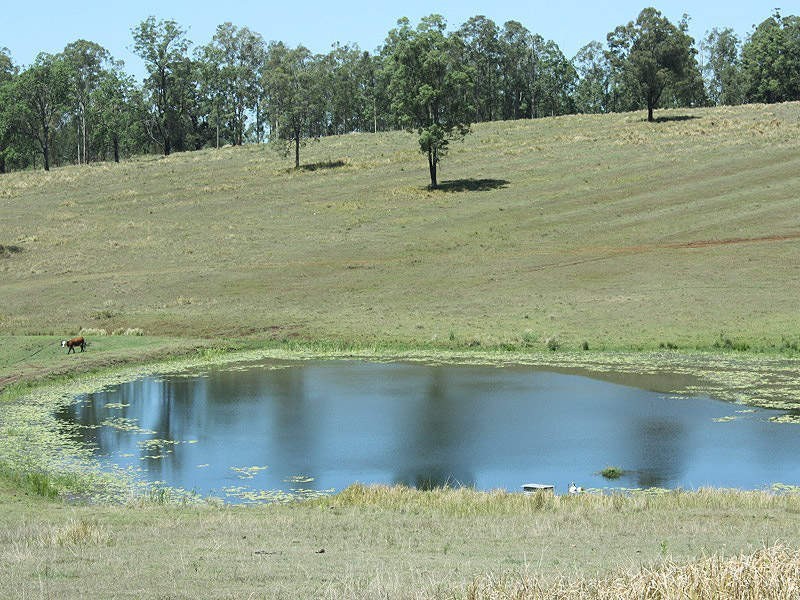 Dyraaba, Casino NSW 2470