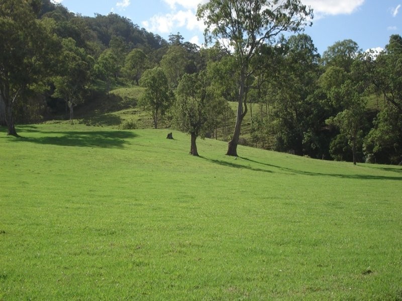 Findon Creek Road, Kyogle NSW 2474