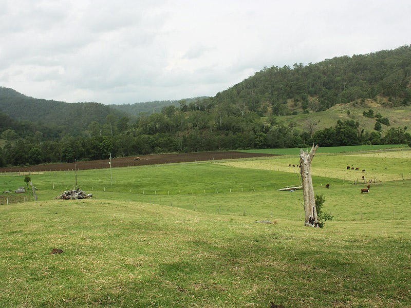Findon Creek Road, Kyogle NSW 2474