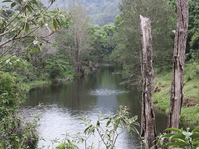 Findon Creek Road, Kyogle NSW 2474
