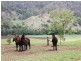 Findon Creek Road, Kyogle NSW 2474