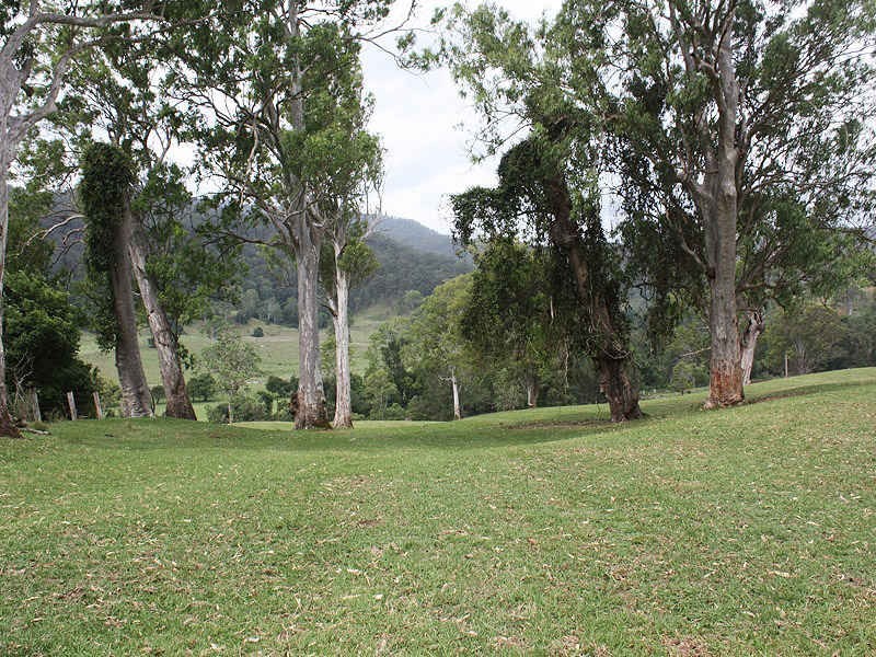 Findon Creek Road, Kyogle NSW 2474