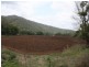 Findon Creek Road, Kyogle NSW 2474