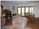 Findon Creek Road, Kyogle NSW 2474