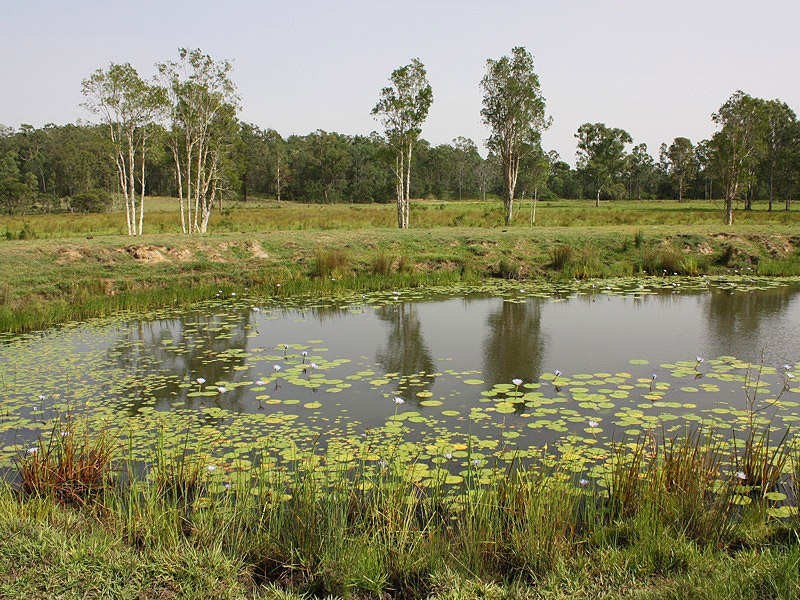 Busbys Flat, Casino NSW 2470