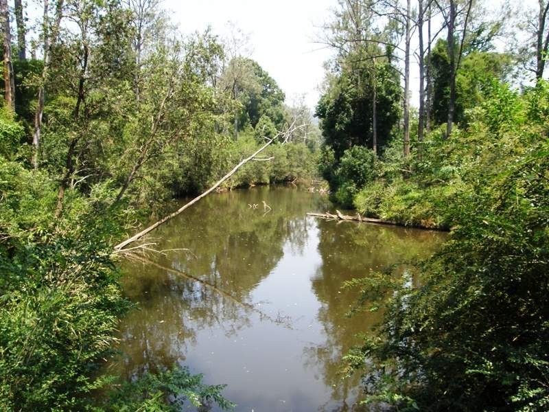 120 Martins Road, Larnook NSW 2480