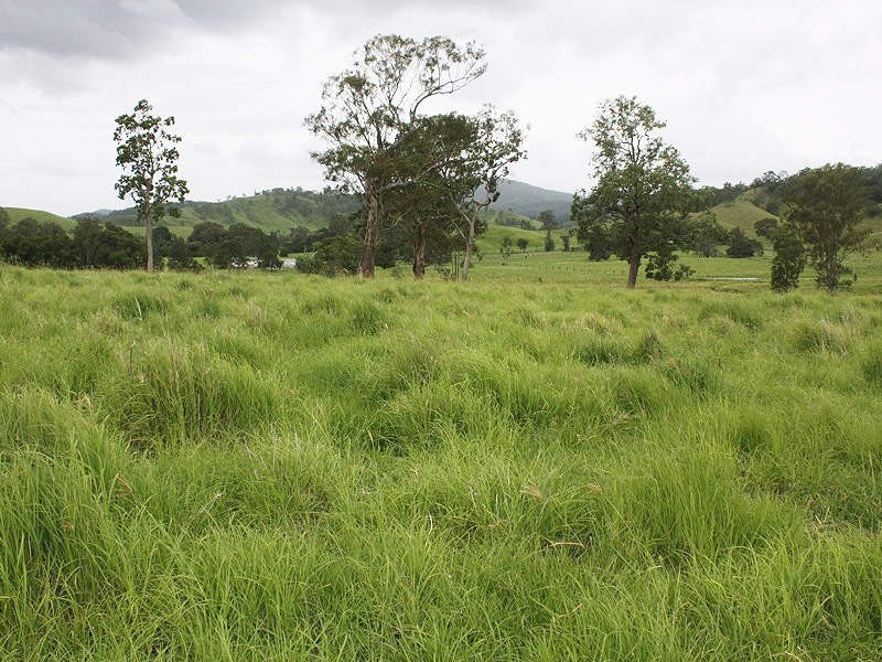 34 Doohans Road, Lismore NSW 2480