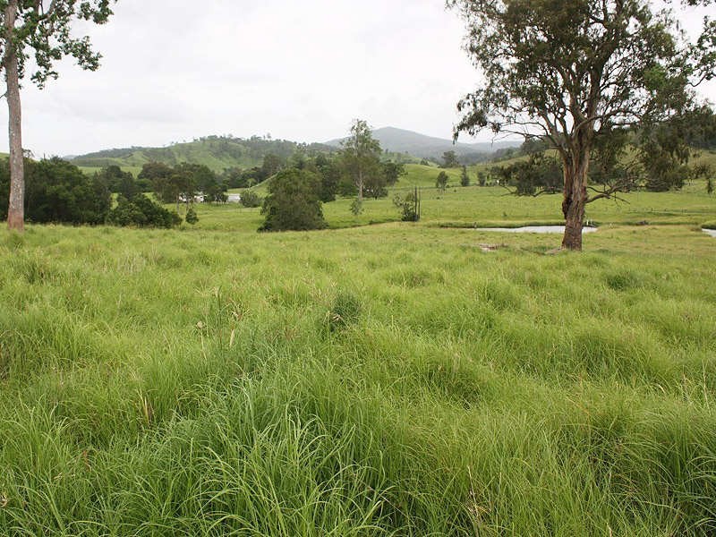 34 Doohans Road, Lismore NSW 2480