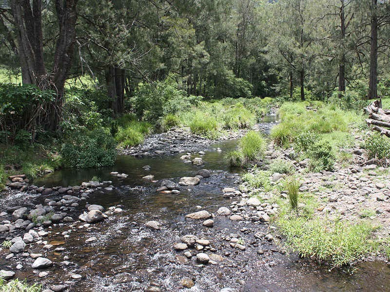 Lynchs Creek Road, Kyogle NSW 2474