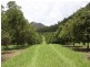 Lynchs Creek Road, Kyogle NSW 2474