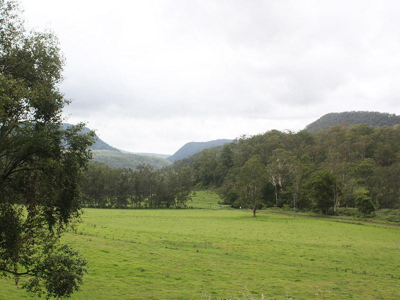 Lynchs Creek Road, Kyogle NSW 2474