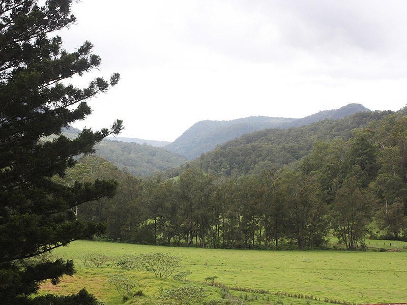 Lynchs Creek Road, Kyogle NSW 2474