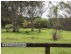 Lynchs Creek Road, Kyogle NSW 2474