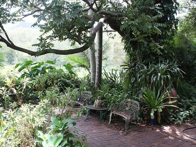 Lynchs Creek Road, Kyogle NSW 2474