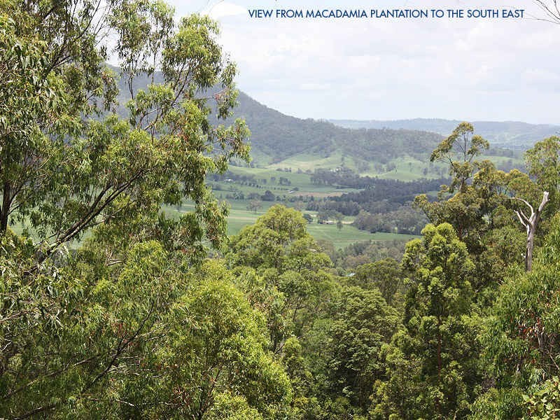 Lynchs Creek Road, Kyogle NSW 2474