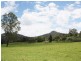 Lynchs Creek Road, Kyogle NSW 2474