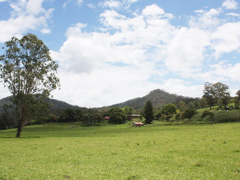 Lynchs Creek Road, Kyogle NSW 2474