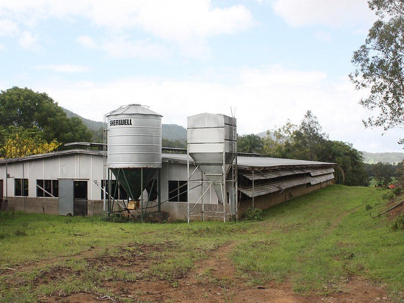 Lynchs Creek Road, Kyogle NSW 2474