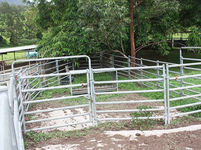 Lynchs Creek Road, Kyogle NSW 2474