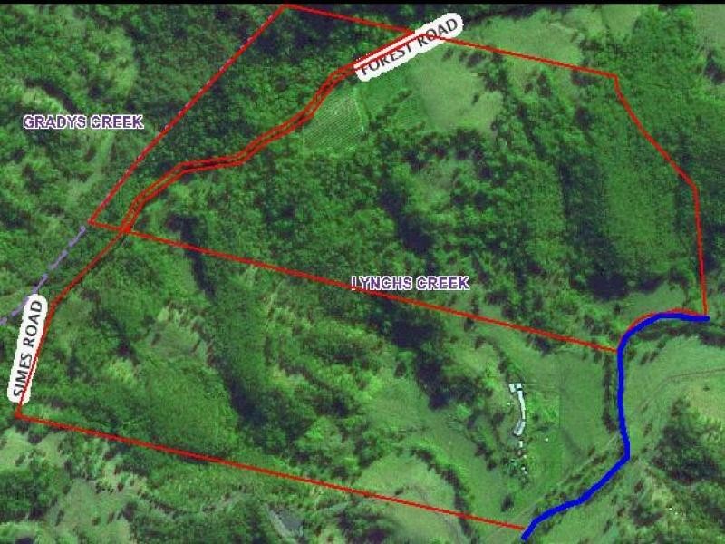 Lynchs Creek Road, Kyogle NSW 2474