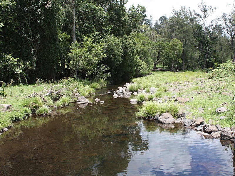 Lynchs Creek Road, Kyogle NSW 2474