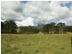 Larkins Road, Murwillumbah NSW 2484