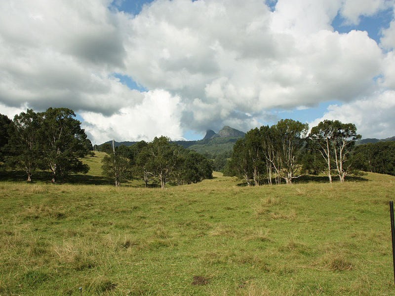 Larkins Road, Murwillumbah NSW 2484
