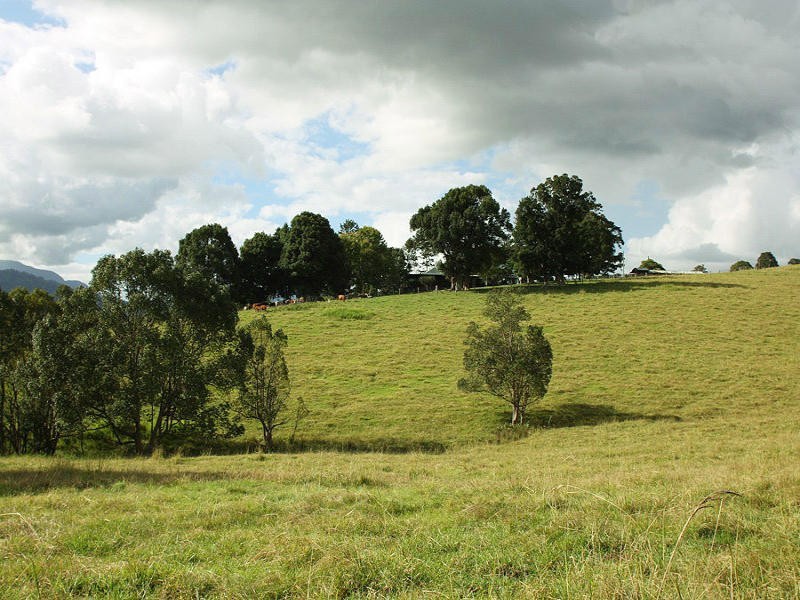 Larkins Road, Murwillumbah NSW 2484