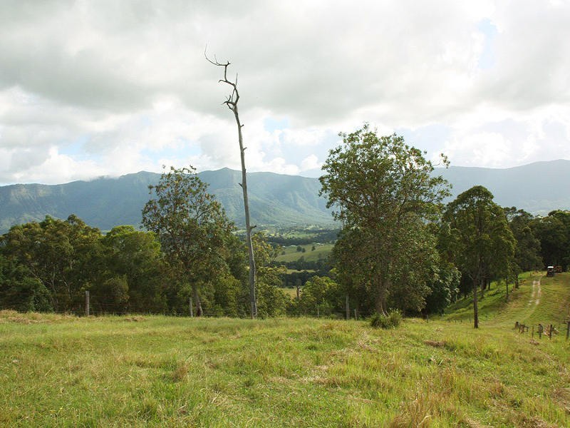 Larkins Road, Murwillumbah NSW 2484