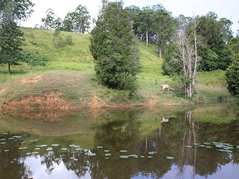 Larkins Road, Murwillumbah NSW 2484