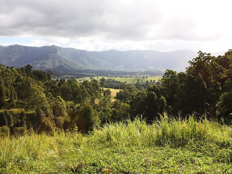 Larkins Road, Murwillumbah NSW 2484