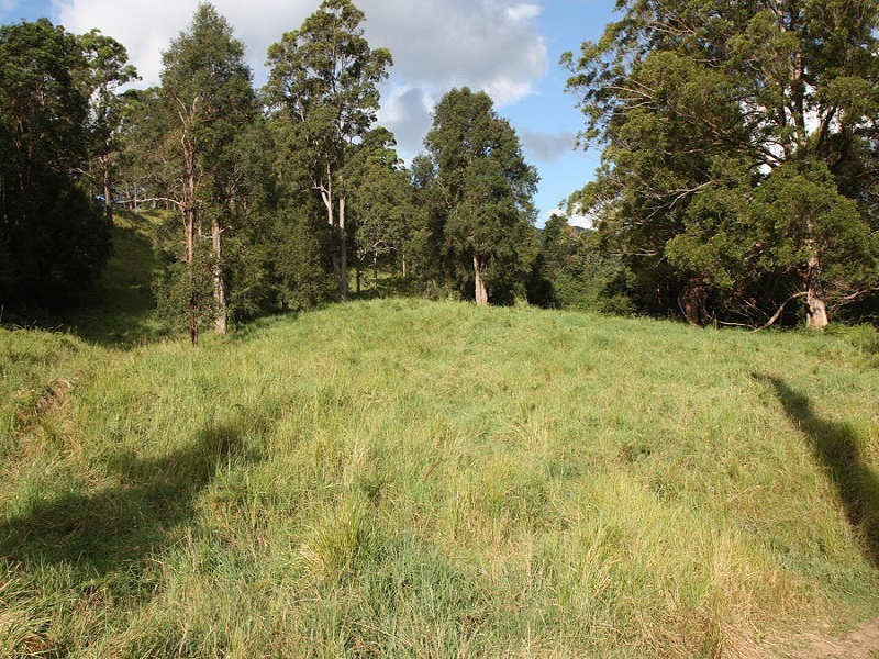 Larkins Road, Murwillumbah NSW 2484