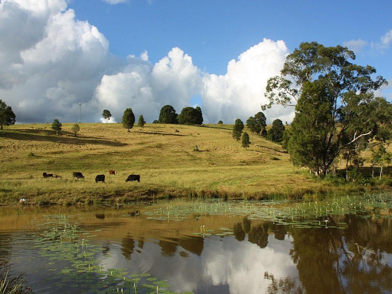 Larkins Road, Murwillumbah NSW 2484