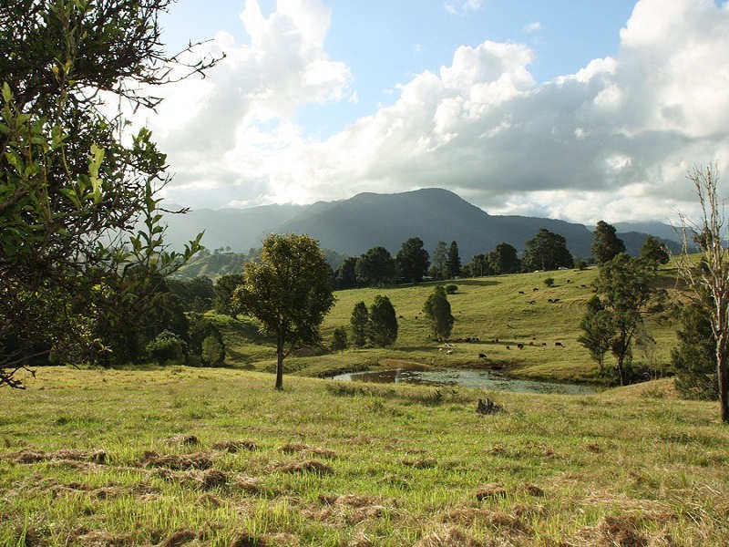 Larkins Road, Murwillumbah NSW 2484