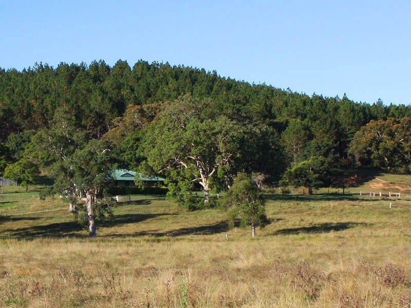 Upper Stratheden Road, Kyogle NSW 2474