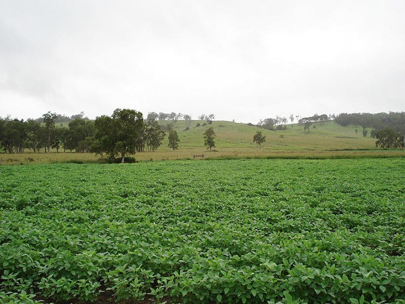 Upper Stratheden Road, Kyogle NSW 2474