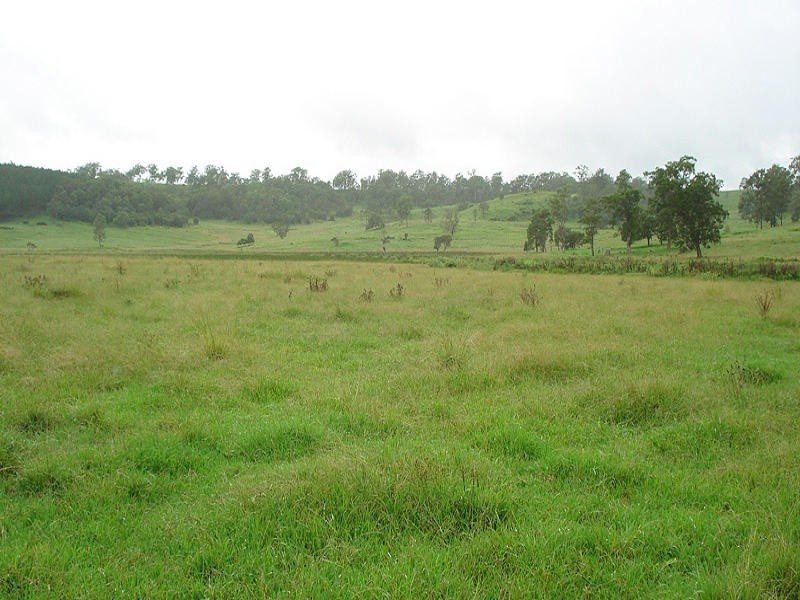 Upper Stratheden Road, Kyogle NSW 2474